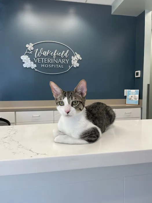 Wakefield Veterinary Hospital 1