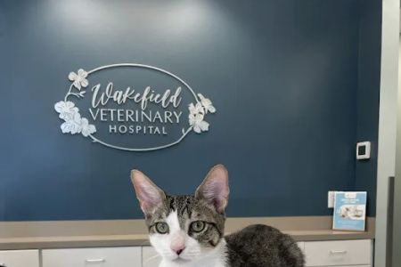 Wakefield Veterinary Hospital