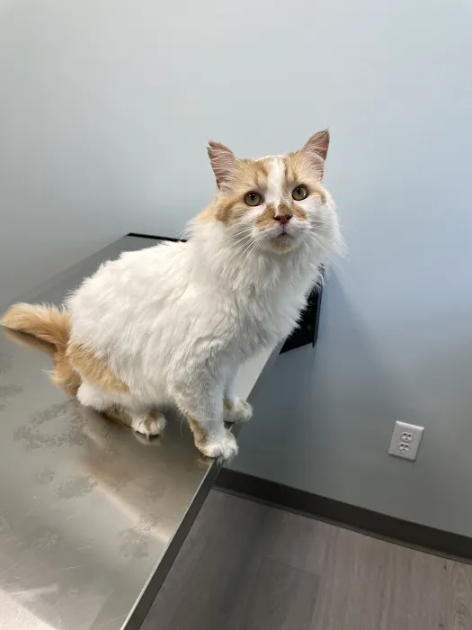 Wakefield Veterinary Hospital 5