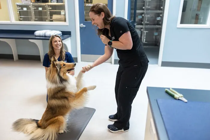 Companion Animal Hospital of Wakefield 12