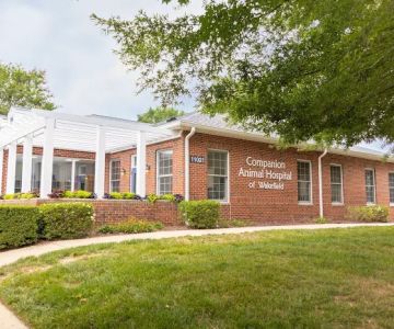 Companion Animal Hospital of Wakefield