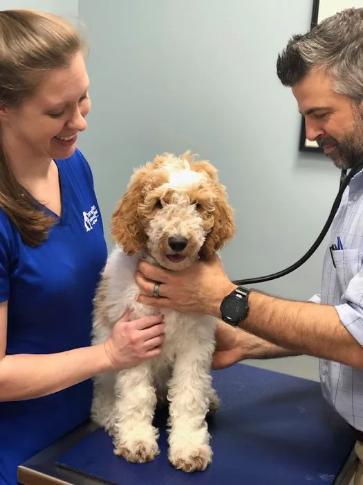 Companion Animal Hospital of Wakefield 12