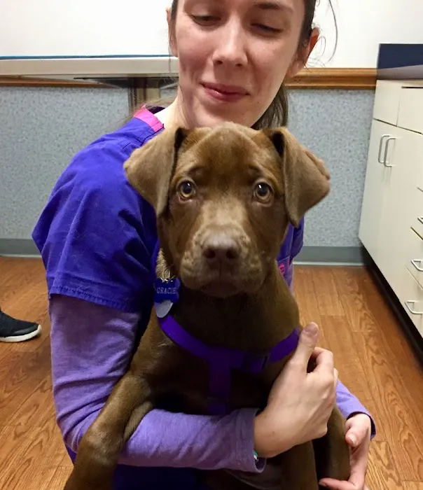 Companion Animal Hospital of Wakefield 12