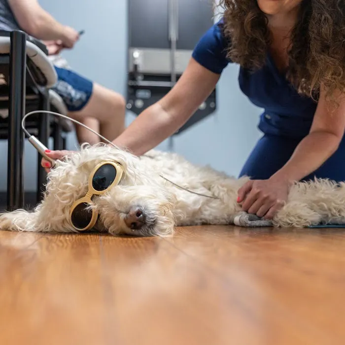 Companion Animal Hospital of Wakefield 12
