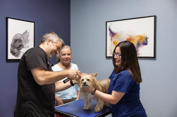 Companion Animal Hospital of Wakefield 12