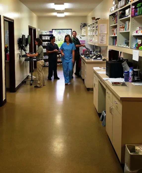 North Wake Animal Hospital 12