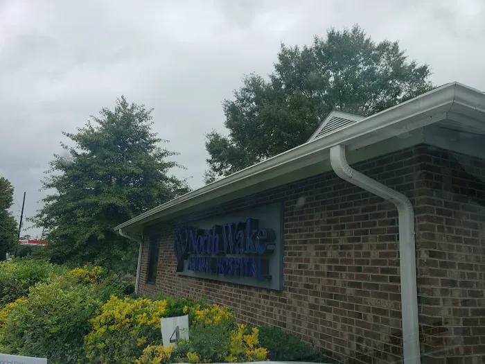 North Wake Animal Hospital 12