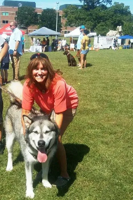 North Wake Animal Hospital 12