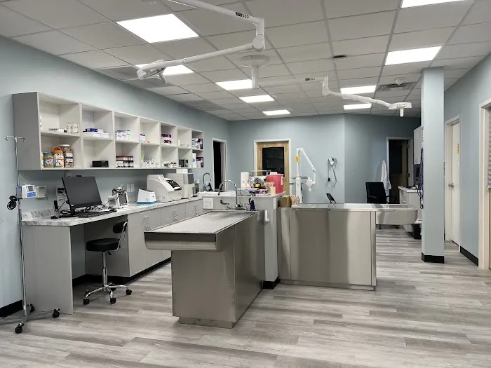 South Main Street Animal Hospital 12