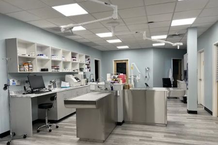 South Main Street Animal Hospital