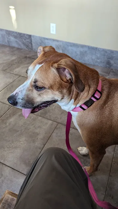 Louisburg Veterinary Hospital 12