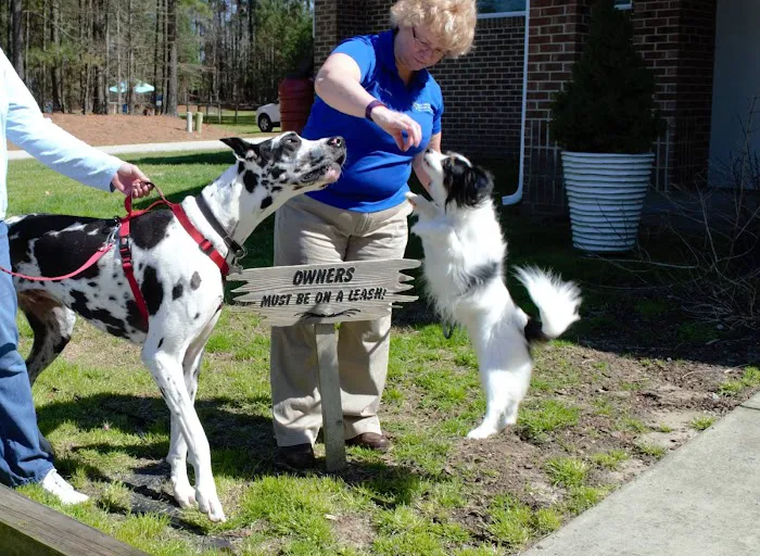 Heartwood Animal Hospital 12