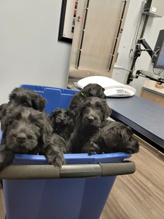 Heartwood Animal Hospital 12