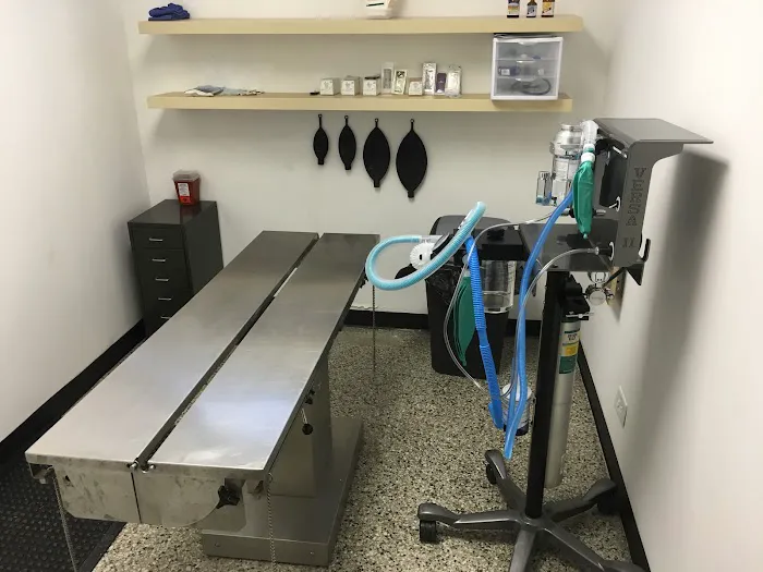 Youngsville Animal Hospital 1