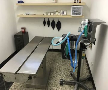Youngsville Animal Hospital