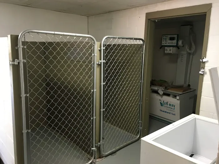 Youngsville Animal Hospital 6