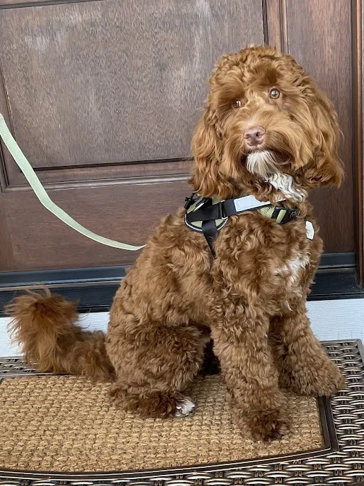 Wake Forest Animal Hospital 3