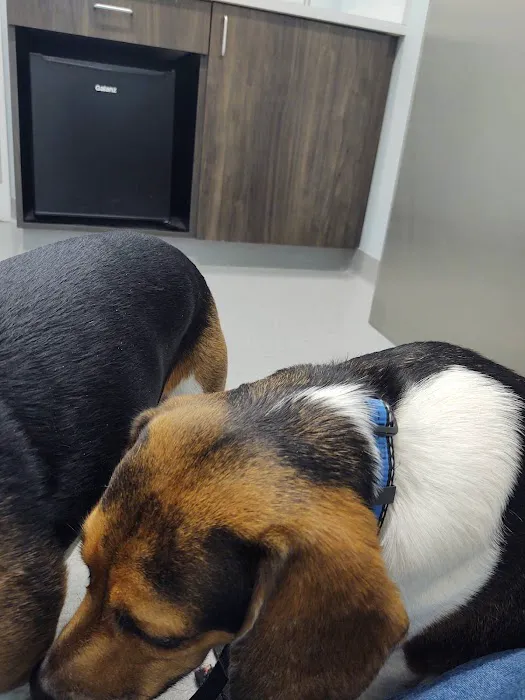 Brentwood Veterinary Center 12