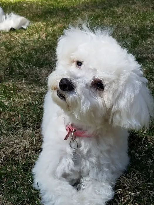 Brentwood Veterinary Center 12