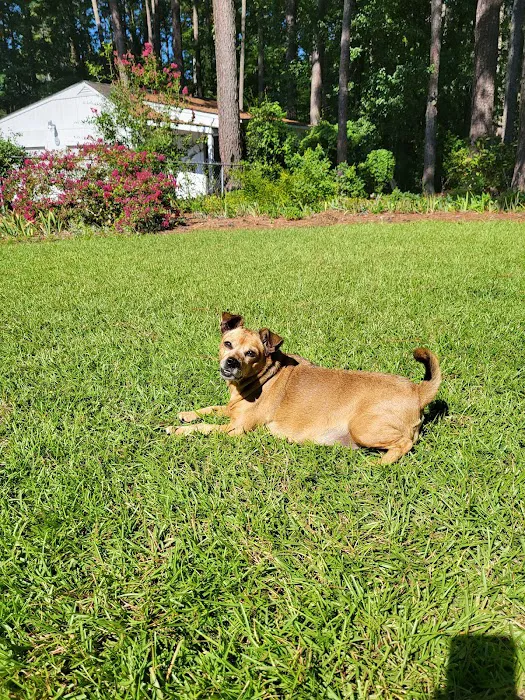 Brentwood Veterinary Center 12