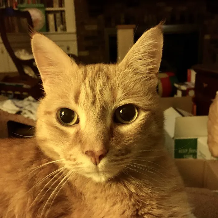 Brandywine Veterinary Hospital 12