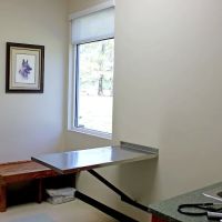 Brandywine Veterinary Hospital ico