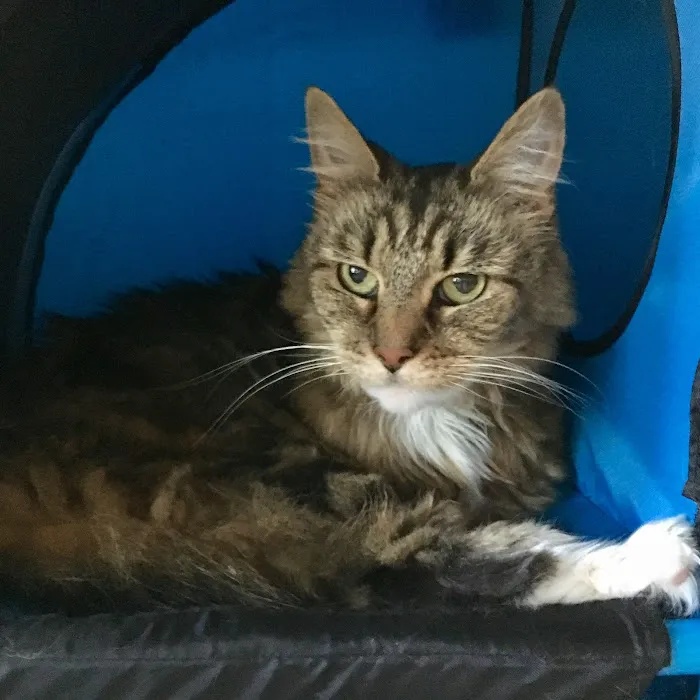Brandywine Veterinary Hospital 12