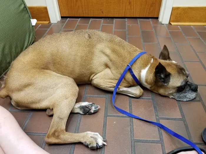 Brandywine Veterinary Hospital 12