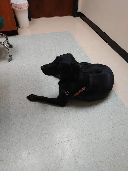 Brandywine Veterinary Hospital 12