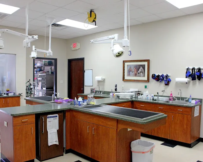 Brandywine Veterinary Hospital 12