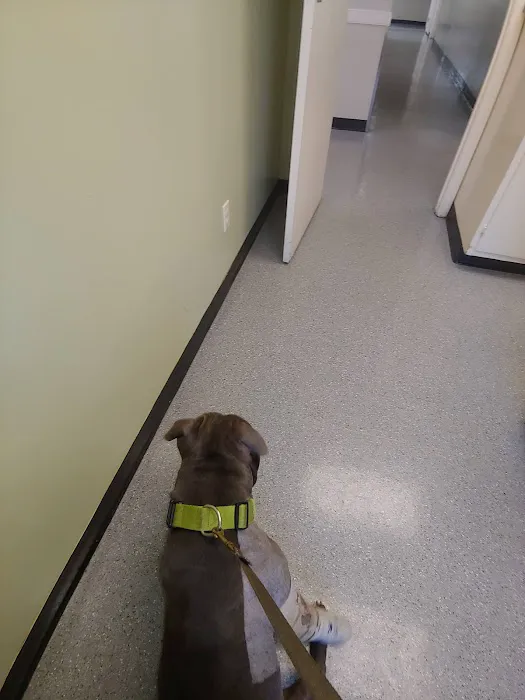 Wilson Veterinary Hospital 12