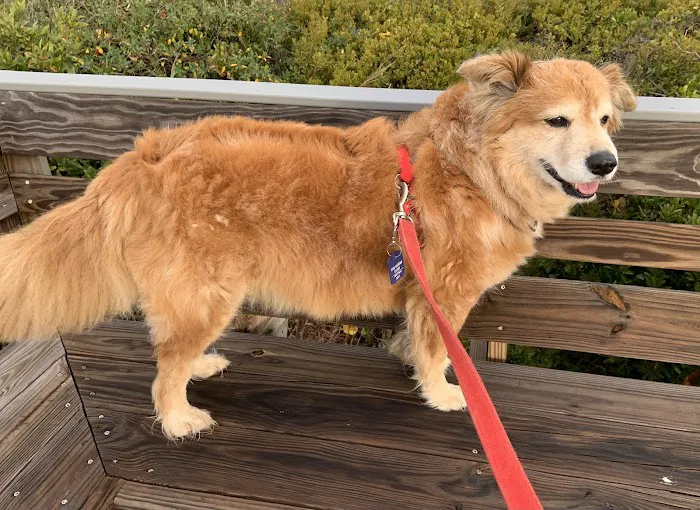 Wilson Veterinary Hospital 12