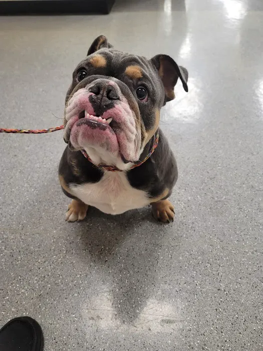 Wilson Veterinary Hospital 12