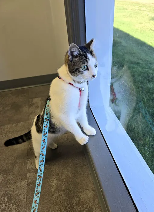 Wilson Veterinary Hospital 12