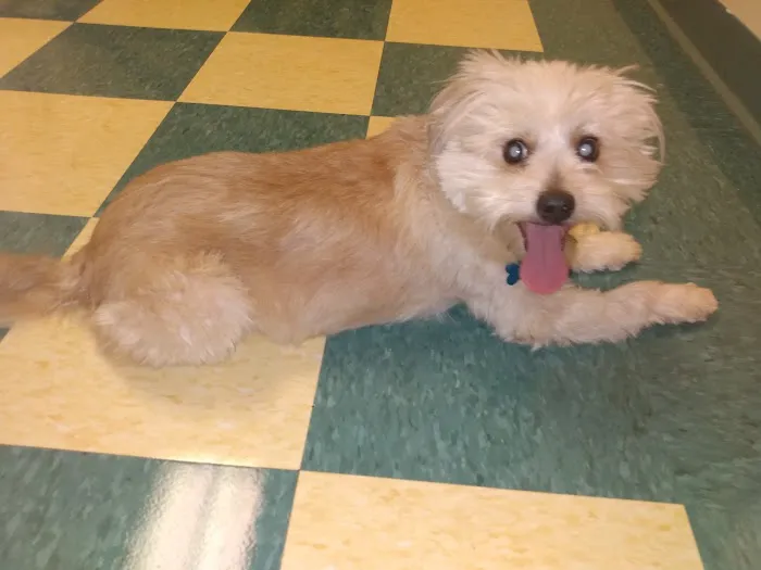 Willow Grove Animal Clinic 12