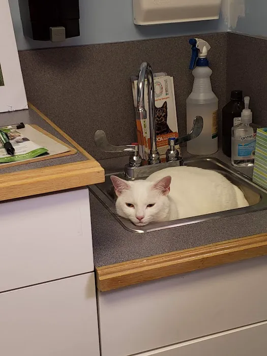 Willow Grove Animal Clinic 12
