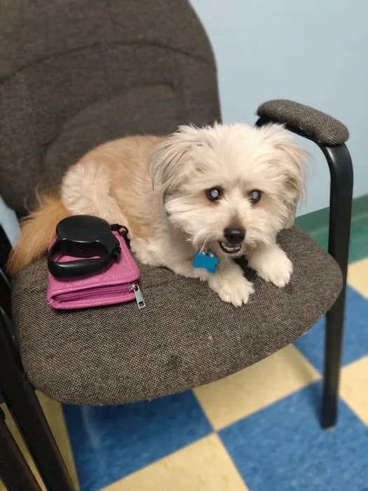 Willow Grove Animal Clinic 12