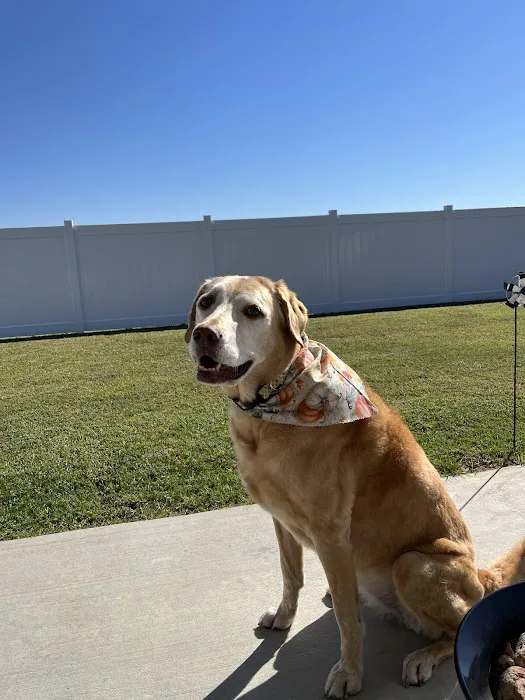 Willow Grove Animal Clinic 12