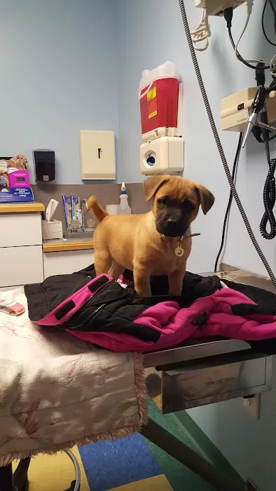 Willow Grove Animal Clinic 12