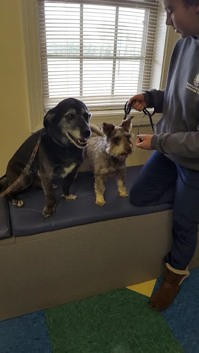 Willow Grove Animal Clinic 12