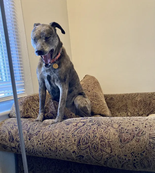 Willow Grove Animal Clinic - Susan Morphis DVM 12