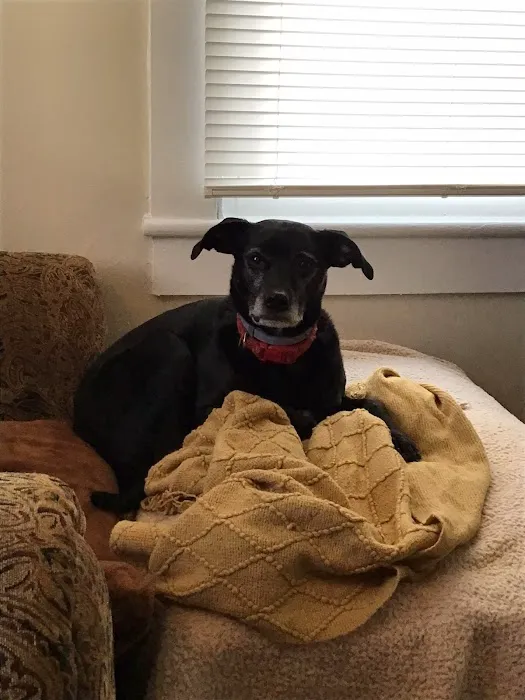 Willow Grove Animal Clinic - Susan Morphis DVM 12