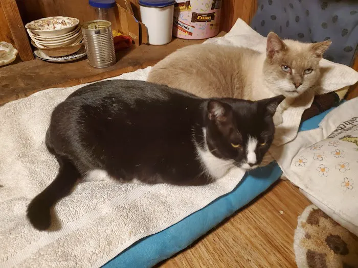 Points East Veterinary Specialty Hospital 12
