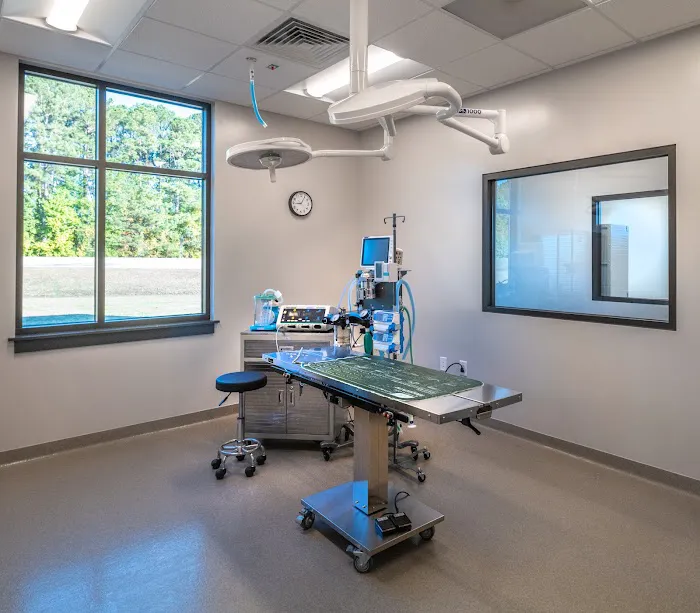 Points East Veterinary Specialty Hospital 12