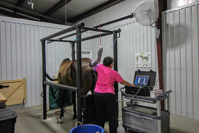 Institute Mobile Veterinary 9