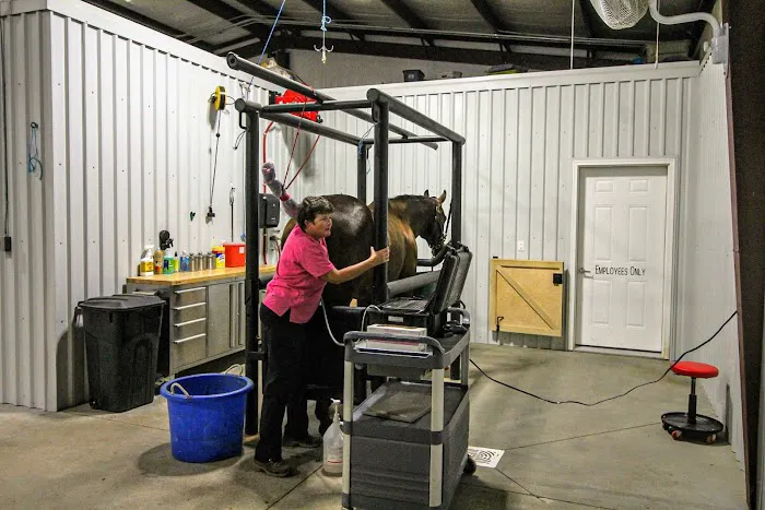 Institute Mobile Veterinary 7