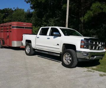 Institute Mobile Veterinary