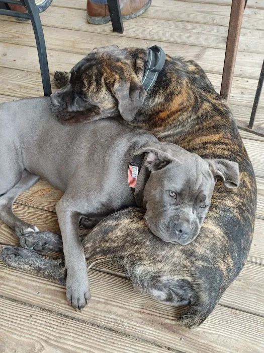 Nash County Animal Hospital 12