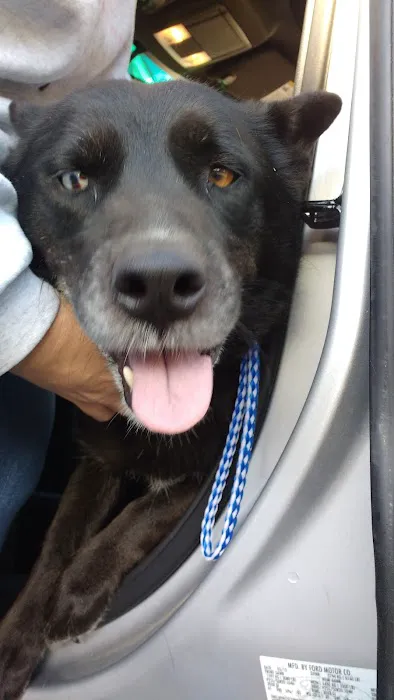 Nash County Animal Hospital 12