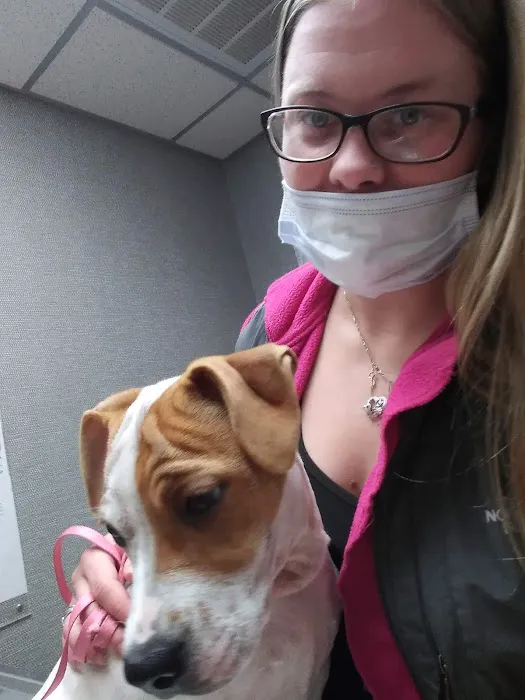 Hicks Animal Clinic 12